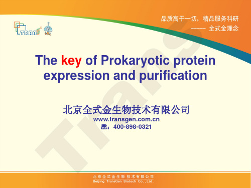 原核蛋白表达与纯化