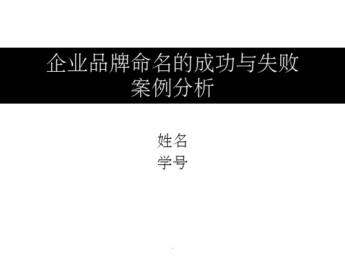 企业品牌命名的成功与失败案例分析ppt课件