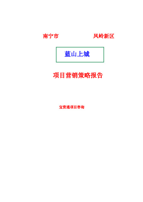 南宁市凤岭新区蓝山上城项目营销策略报告