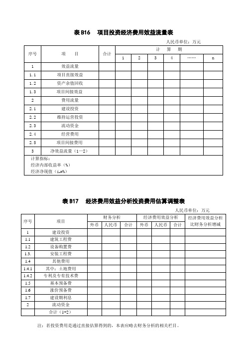 项目投资经济费用效益流量表B16  B17