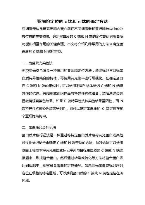 亚细胞定位的c端和n端的确定方法