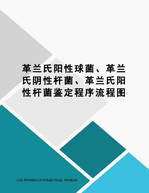 革兰氏阳性球菌、革兰氏阴性杆菌、革兰氏阳性杆菌鉴定程序流程图