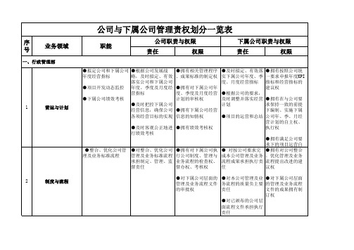 公司与下属公司管理责权划分