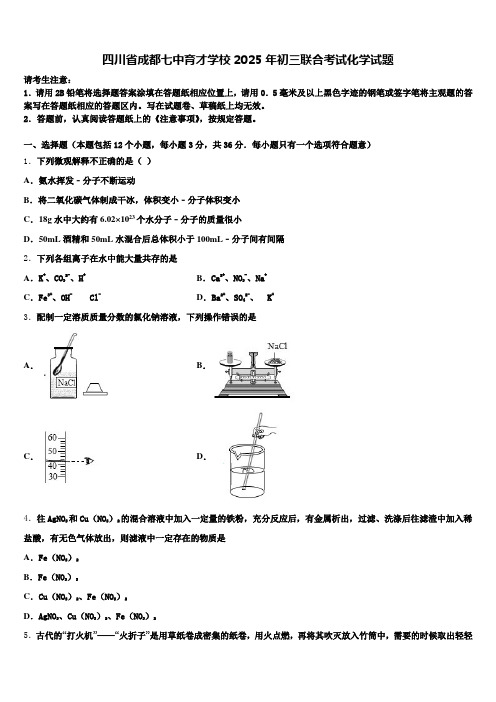 四川省成都七中育才学校2025年初三联合考试化学试题含解析