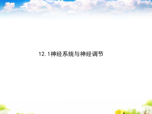 北师大版七年级下册生物第12章12.1神经系统与神经调节(共21张PPT)