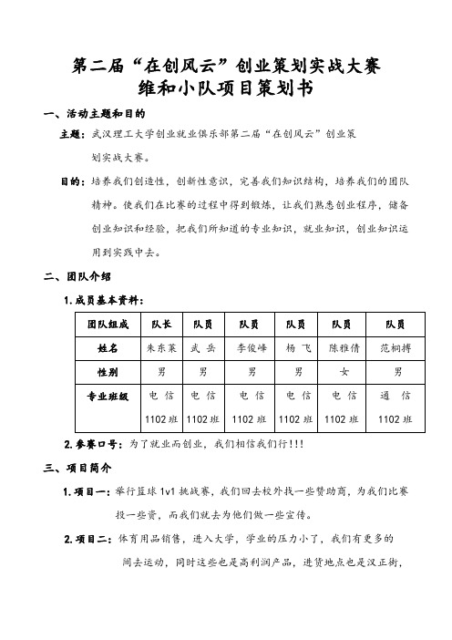 维和小队策划方案