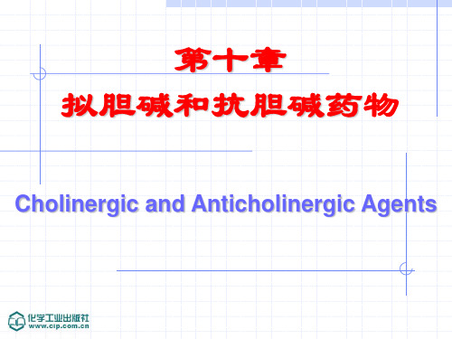 中国药科大学 药物化学课件尤启东版本 10