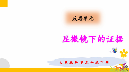 大象版(新教材)小学科学三年级下册反思单元《显微镜下的证据》教学课件