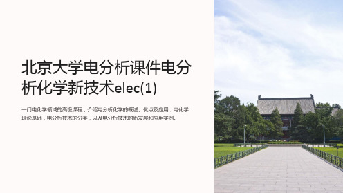 北京大学电分析课件电分析化学新技术elec(1)