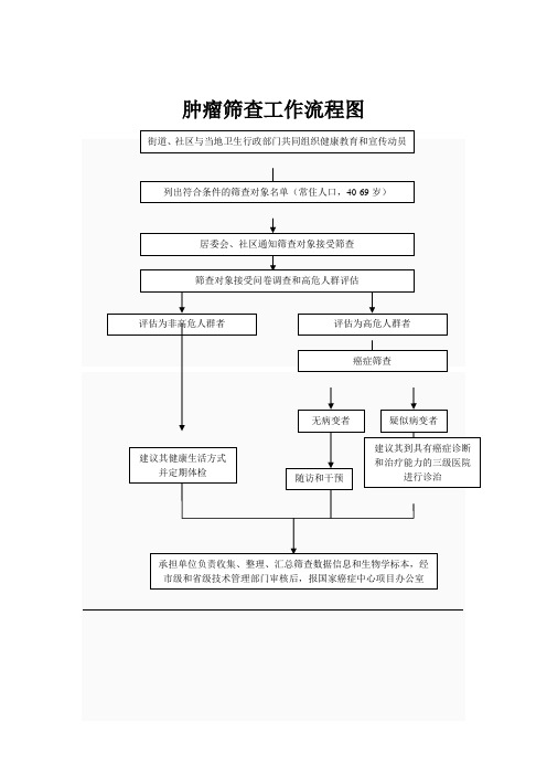 肿瘤筛查工作流程