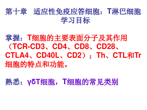 第十章 T细胞综述