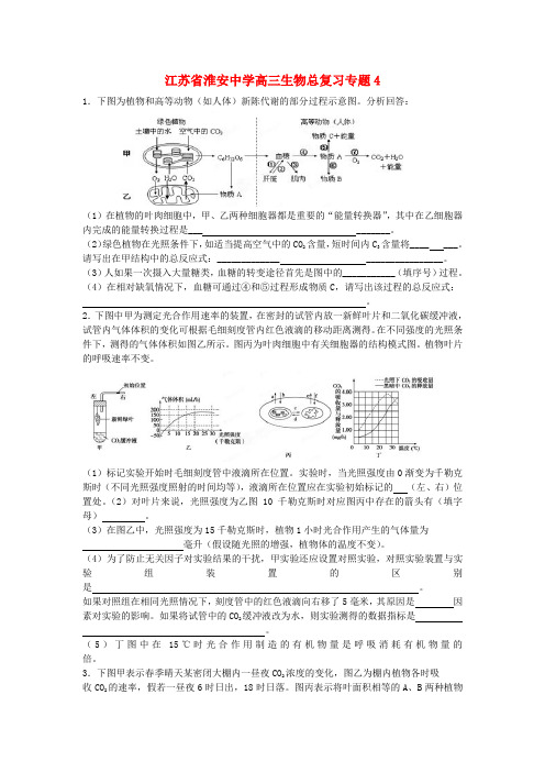 江苏省淮安中学高三生物总复习专题4