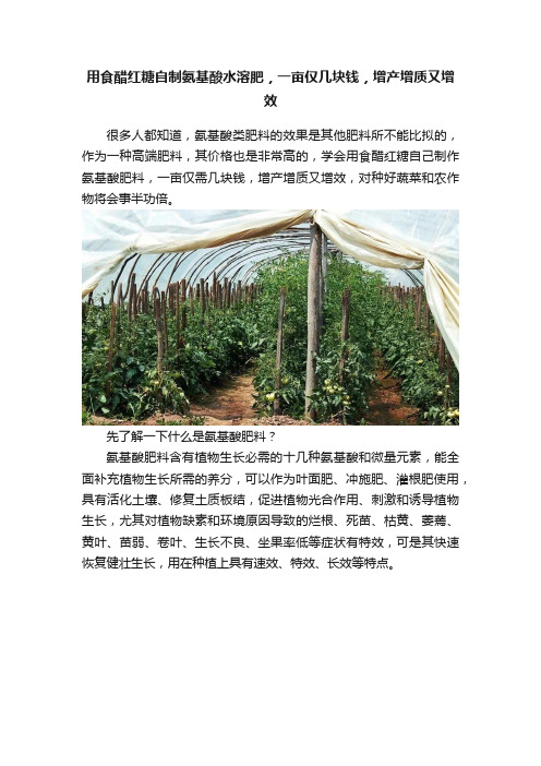 用食醋红糖自制氨基酸水溶肥，一亩仅几块钱，增产增质又增效