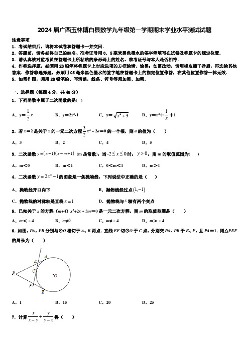 2024届广西玉林博白县数学九年级第一学期期末学业水平测试试题含解析