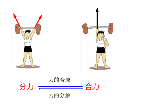 高一物理力的分解