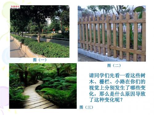 绘画中的透视现象