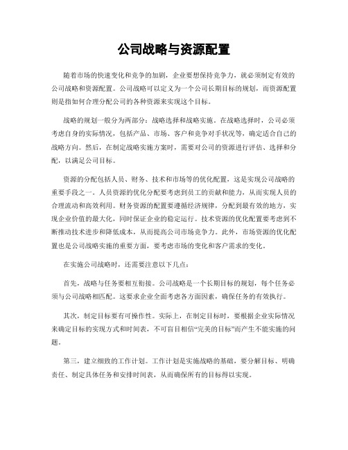 公司战略与资源配置