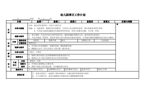 大一班第11周周日工作计划