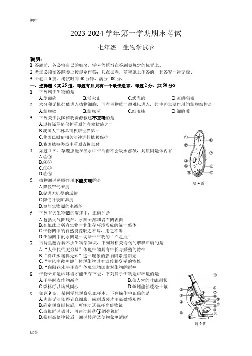 2023-2024学年广东省深圳中学七年级上学期期末生物试题及答案