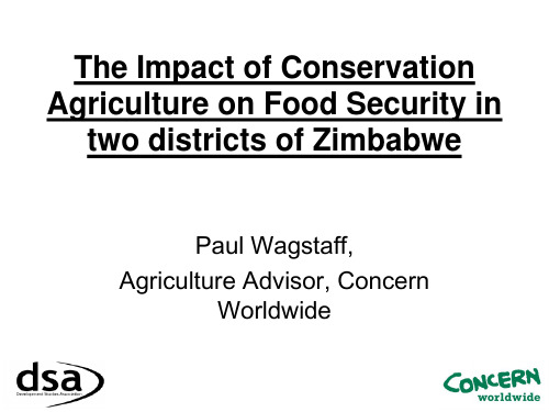 The Impact of Conservation Agriculture on Food Sec