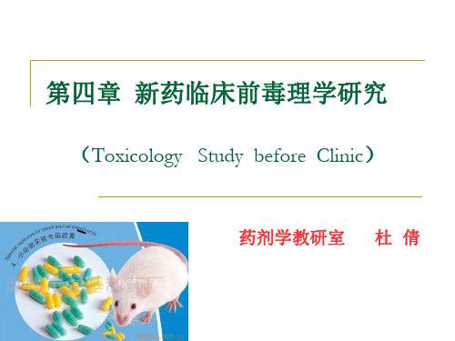 新药临床前毒理学研究