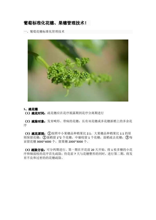 葡萄标准化花穗、果穗管理技术!