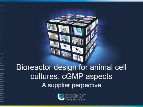 生物反应器课件Bioreactordesignforanimalcellcultures：cGMPaspects