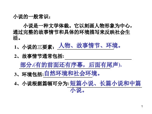 人教版初中语文九年级下册 变色龙2 PPT课件