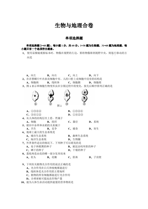 深圳市生物与地理会考试题