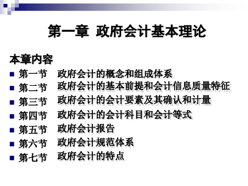 第一章  政府会计基本理论   《 政府会计》PPT课件