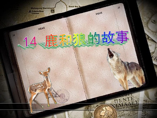 语文六年级上人教新课标《鹿和狼的故事》课件(24)(18张)
