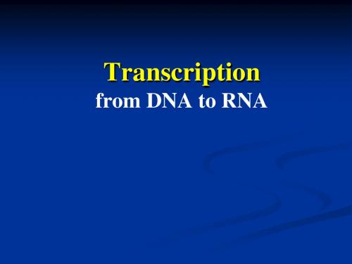 Lect7-Transcription