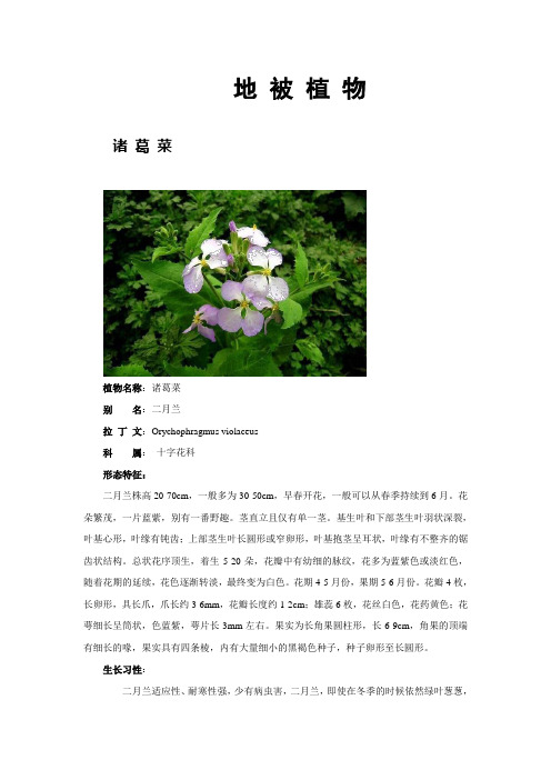 大学植物保护学之地被植物