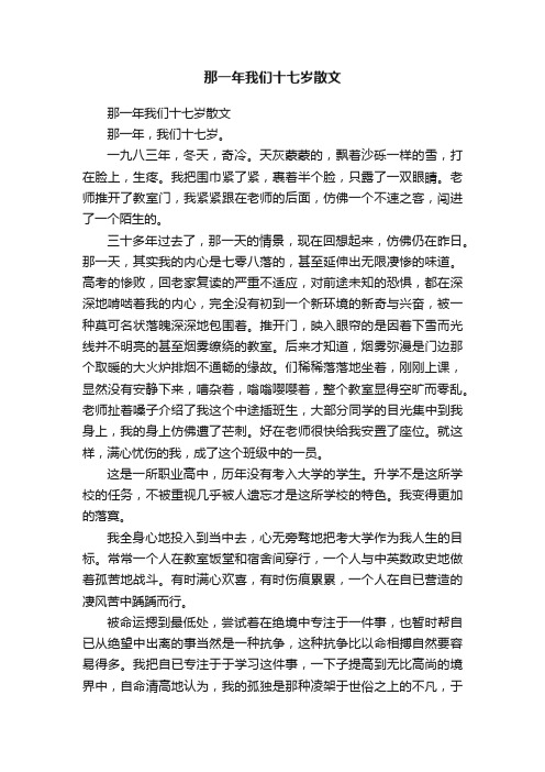 那一年我们十七岁散文