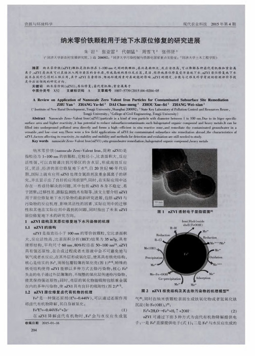 纳米零价铁颗粒用于地下水原位修复的研究进展