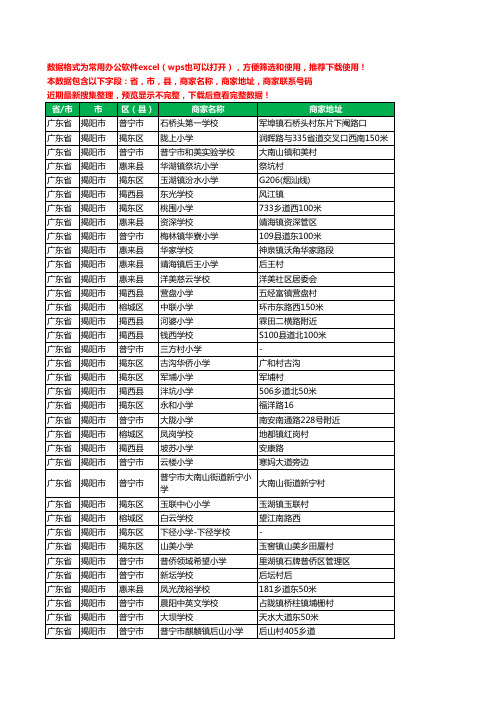 2020新版广东省揭阳市小学工商企业公司商家名录名单黄页联系号码地址大全995家