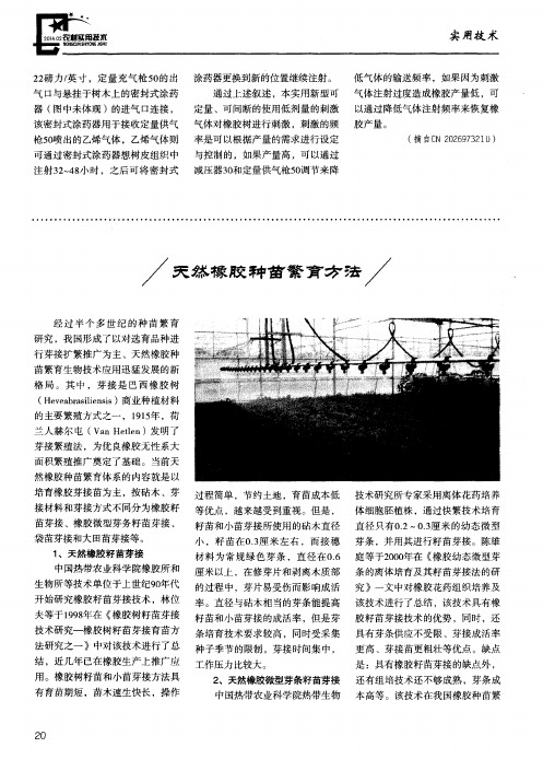 天然橡胶种苗繁育方法