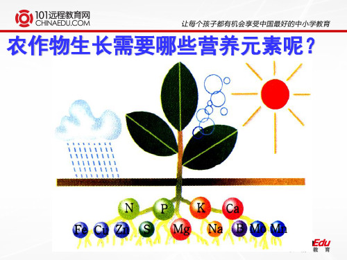 初中化学科粤版课件及导学案8.5化学肥料