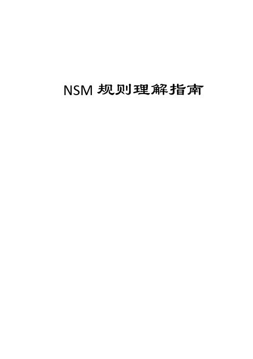 NSM规则理解指南