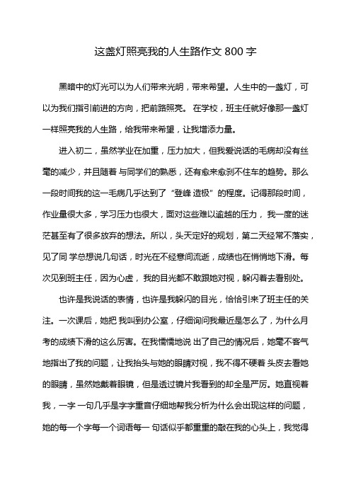 这盏灯照亮我的人生路作文800字