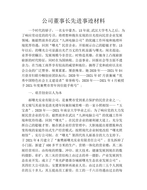 公司董事长先进事迹材料