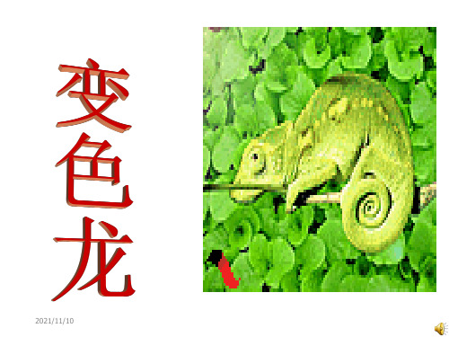 五年级上《变色龙》ppt课件1