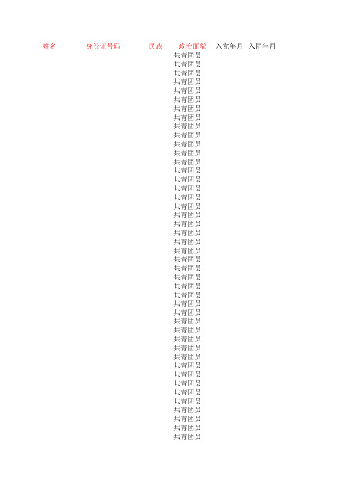 2013级团员信息统计样表