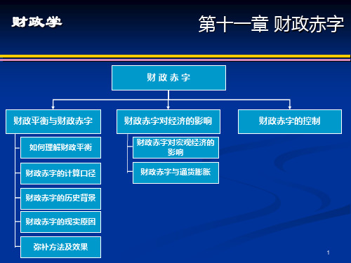 第十一章财政学讲解材料