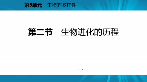 《生物进化的历程》PPT优秀课件