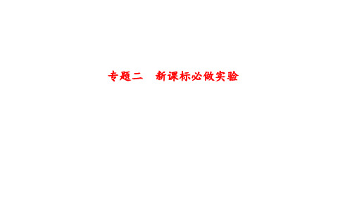 2024年广东省中考物理二轮复习题型突破课件：专题二  新课标必做实验