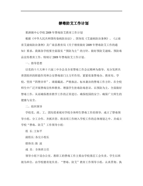 禁毒防艾工作计划