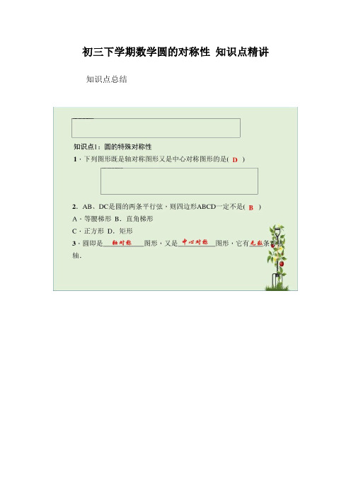 初三下学期数学 圆的对称性 知识点精讲 教案 教学设计 课件