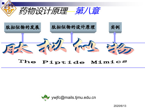 药物设计学肽拟似物医学