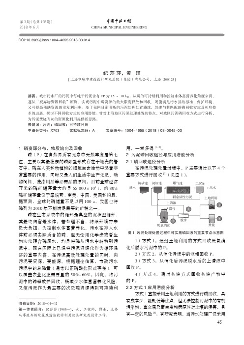 磷回收在污泥资源化方面的研究进展与应用分析